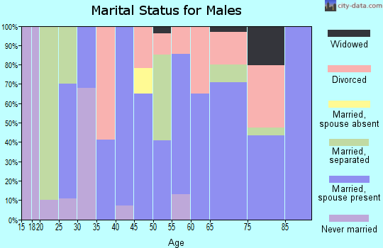 Zip code 97836 marital status for males