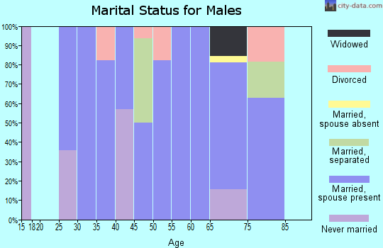 Zip code 97839 marital status for males