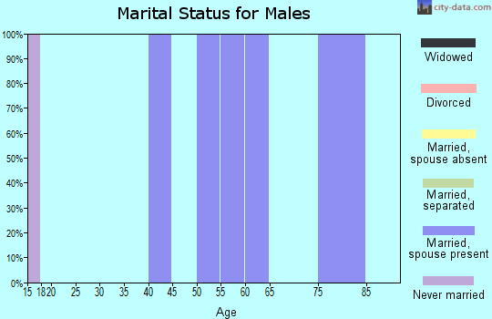 Zip code 97840 marital status for males