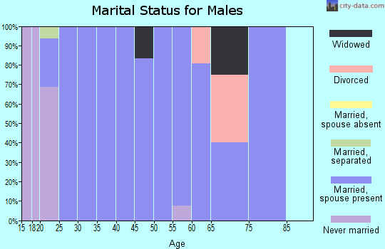 Zip code 97841 marital status for males