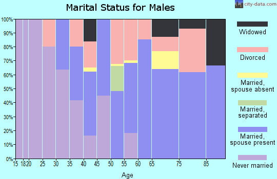 Zip code 97846 marital status for males