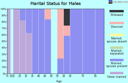 Zip code 97848 marital status for males