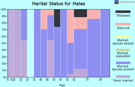 Zip code 97856 marital status for males