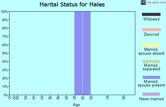 Zip code 97859 marital status for males