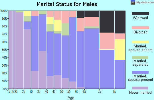 Zip code 97862 marital status for males