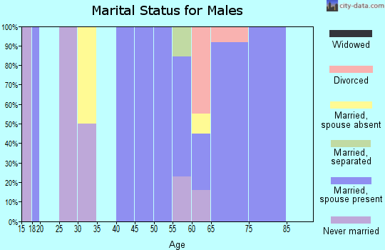 Zip code 97864 marital status for males