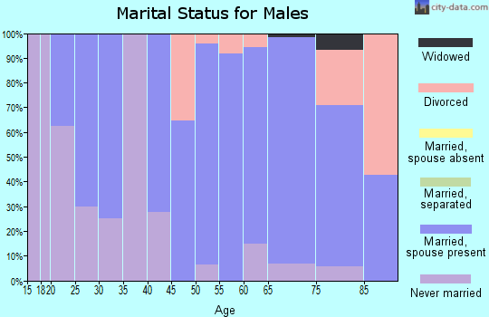 Zip code 97865 marital status for males