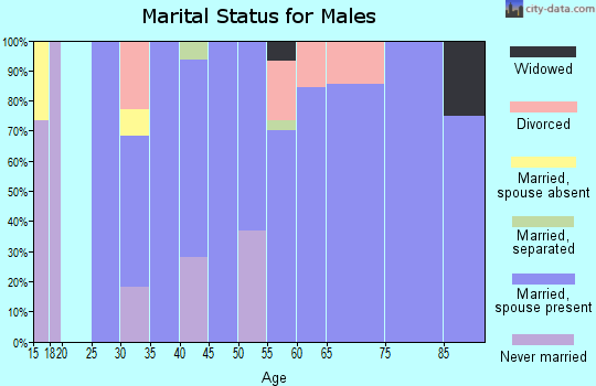 Zip code 97867 marital status for males