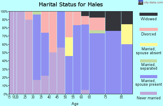 Zip code 97869 marital status for males