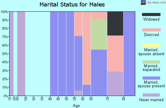 Zip code 97873 marital status for males