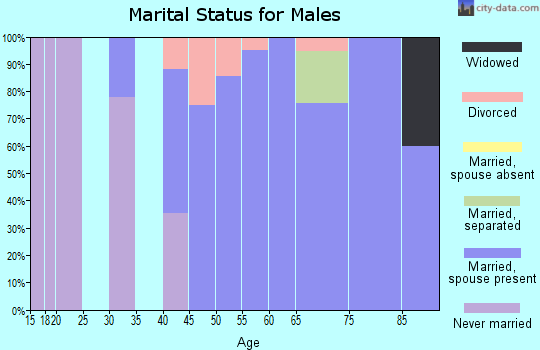 Zip code 97874 marital status for males