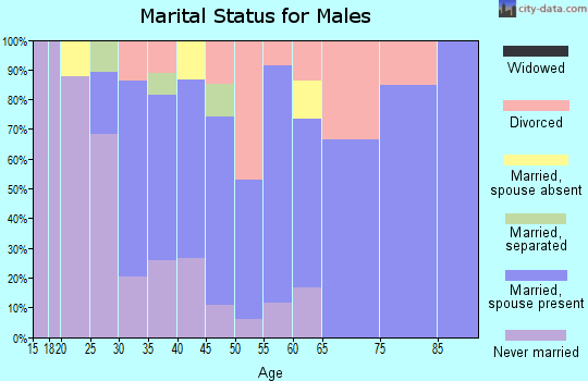 Zip code 97875 marital status for males
