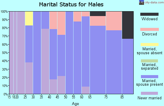 Zip code 97876 marital status for males