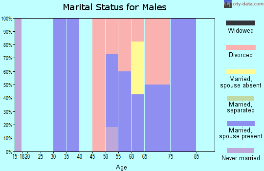 Zip code 97877 marital status for males