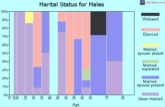 Zip code 97880 marital status for males