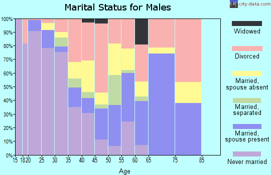 Zip code 97882 marital status for males
