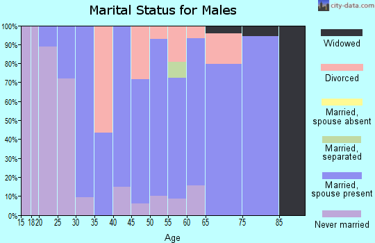 Zip code 97883 marital status for males