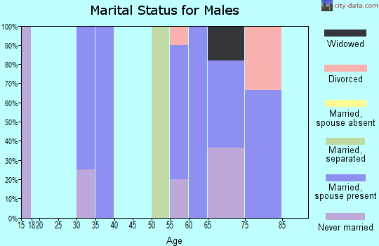 Zip code 97884 marital status for males
