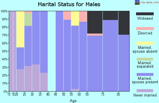 Zip code 97901 marital status for males