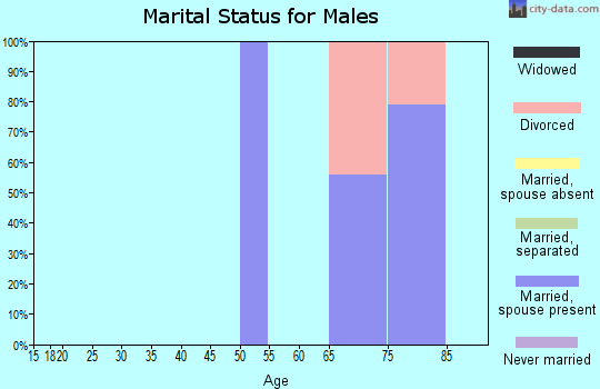 Zip code 97905 marital status for males