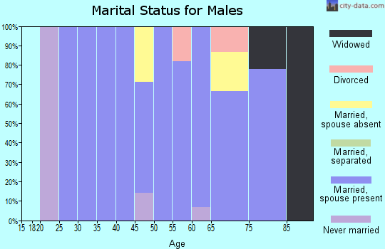 Zip code 97906 marital status for males