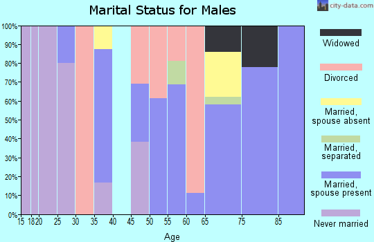 Zip code 97907 marital status for males