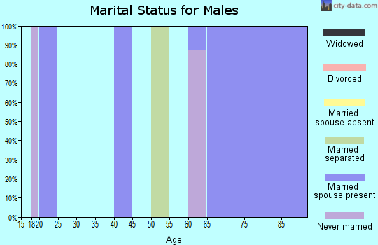 Zip code 97908 marital status for males