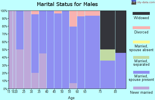 Zip code 97910 marital status for males
