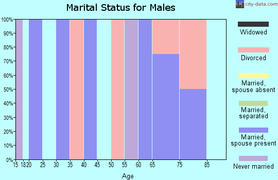 Zip code 97911 marital status for males