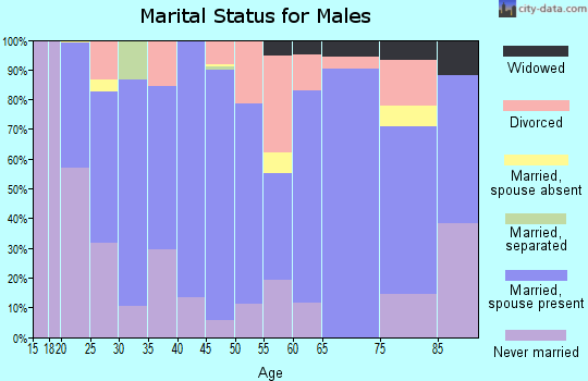 Zip code 97913 marital status for males