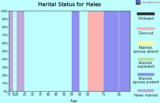 Zip code 97920 marital status for males