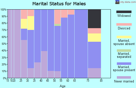 Zip code 98010 marital status for males