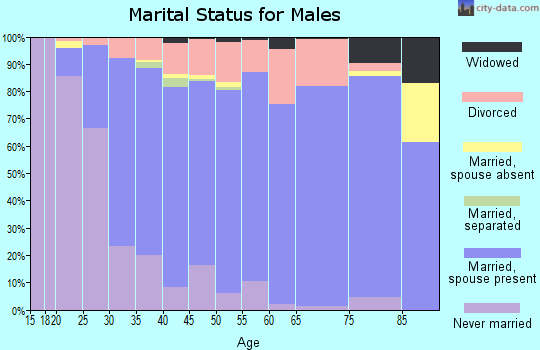 Zip code 98038 marital status for males