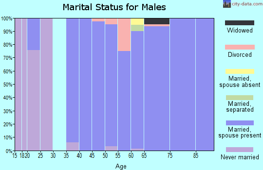 Zip code 98039 marital status for males