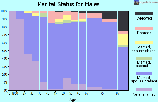 Zip code 98040 marital status for males