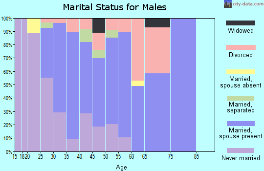 Zip code 98047 marital status for males