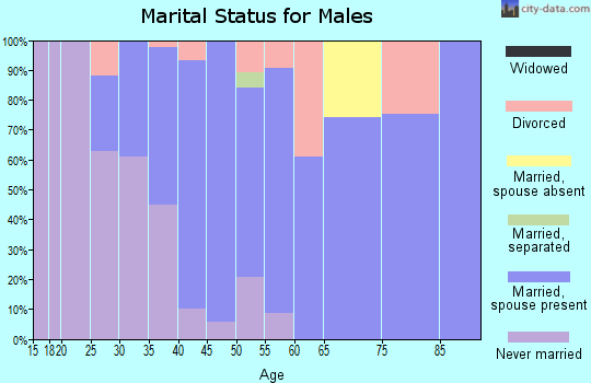 Zip code 98051 marital status for males