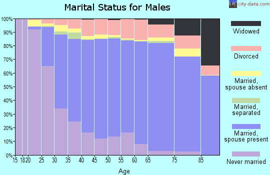 Zip code 98058 marital status for males