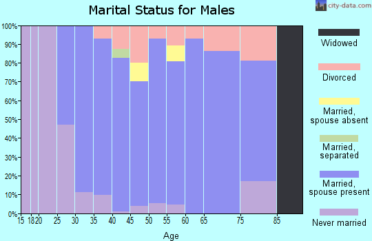 Zip code 98065 marital status for males