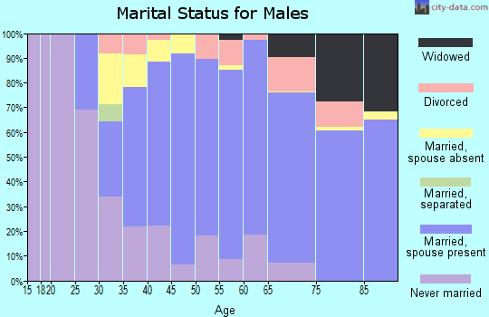 Zip code 98070 marital status for males