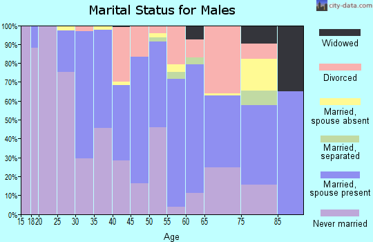 Zip code 98136 marital status for males