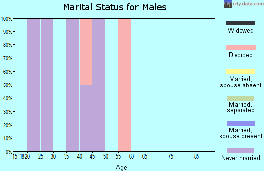 Zip code 98174 marital status for males