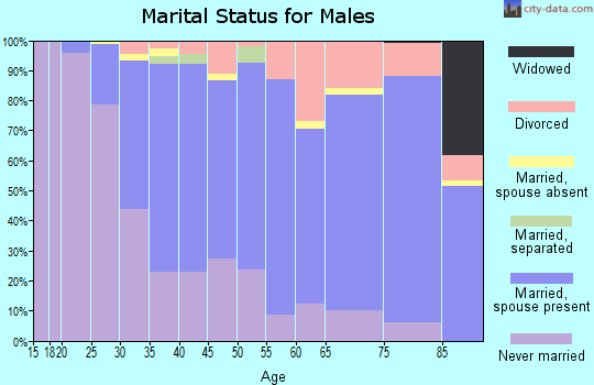 Zip code 98199 marital status for males
