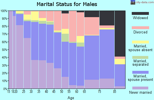 Zip code 98204 marital status for males