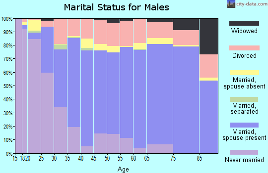 Zip code 98223 marital status for males