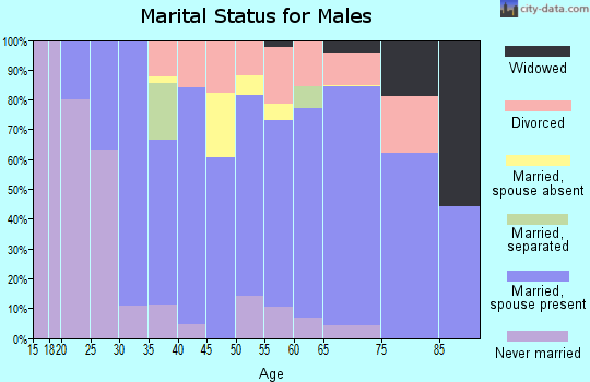 Zip code 98230 marital status for males