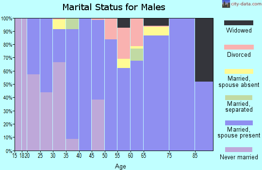 Zip code 98232 marital status for males
