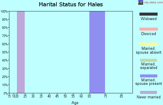 Zip code 98235 marital status for males