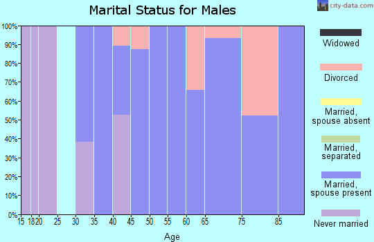 Zip code 98240 marital status for males