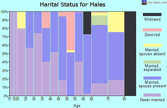 Zip code 98244 marital status for males